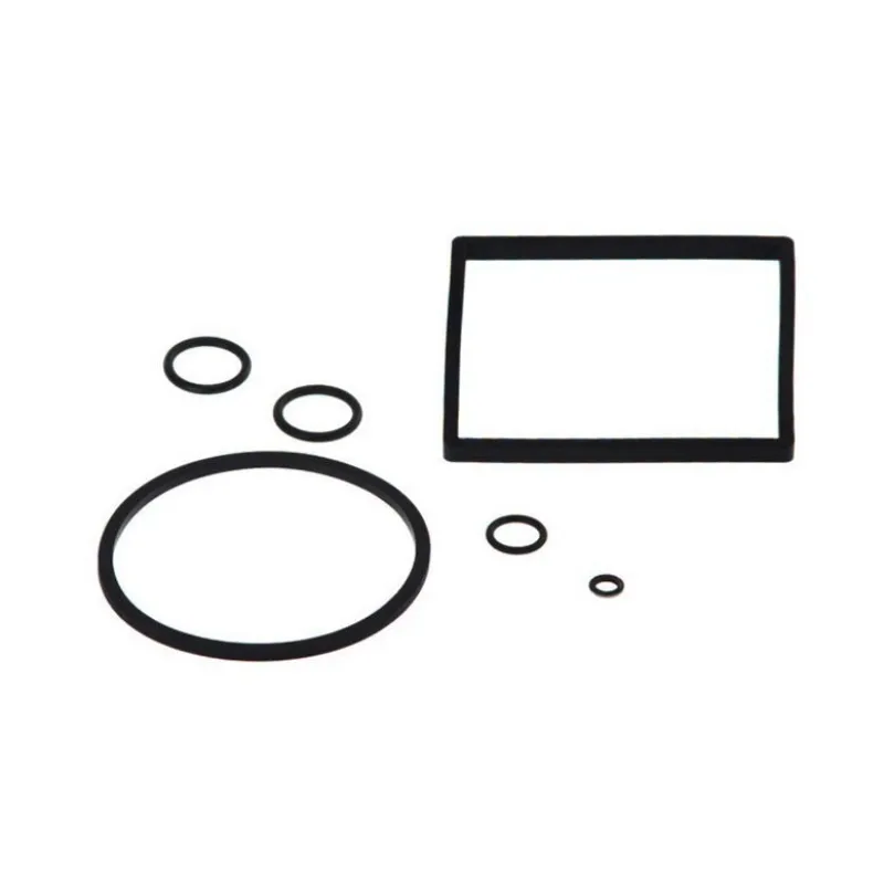 Fuel Filter Insert (Gasket Kit)