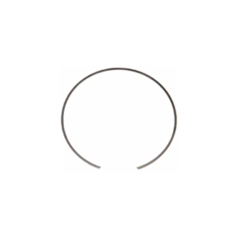 Retaining Ring