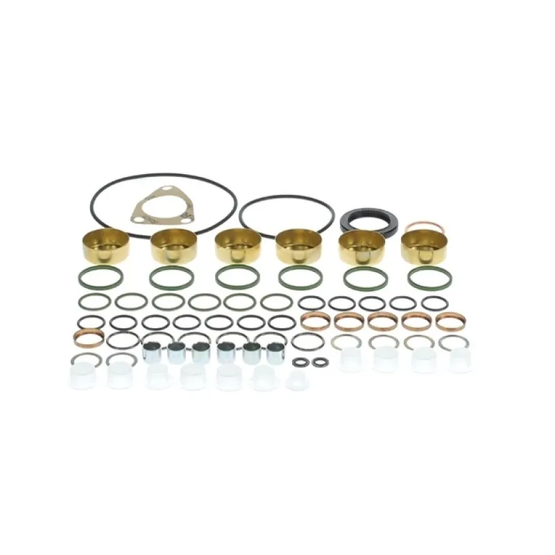 Injector Pump Repair Kit