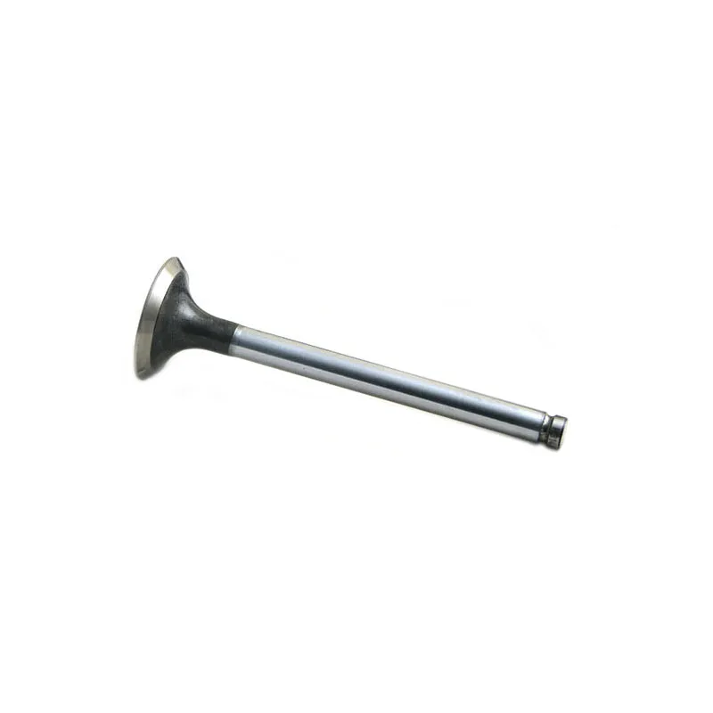 Exhaust Valve